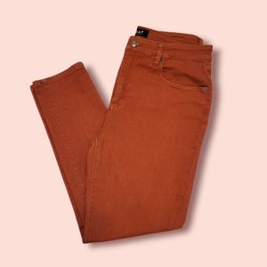 EUC OAT Brand Rust Colored High-Rise Skinny Ankle Jeans Size 30